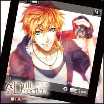 「AdultDirection 監督編」の表紙イラスト