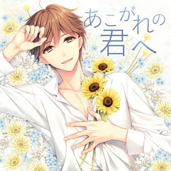 「あこがれの君へ」の表紙イラスト